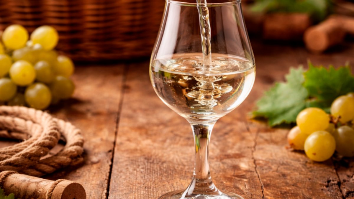 Organizações de Agricultores do Douro contra Projeto de Lei