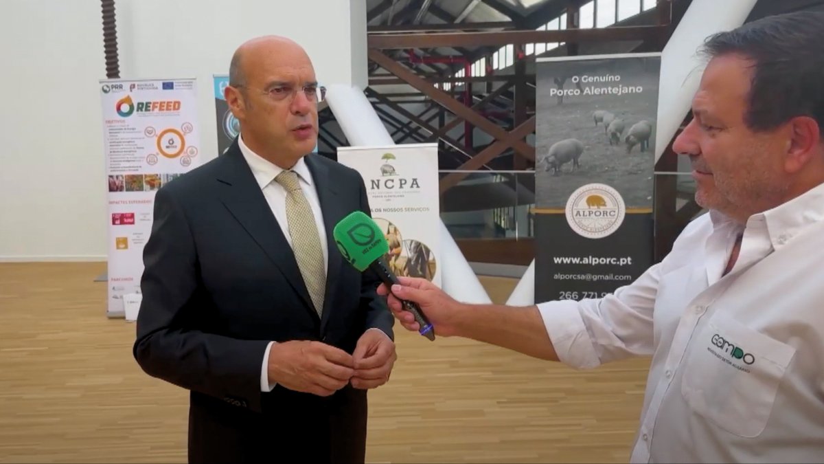 “Suinicultura tem grandes desafios devido às alterações geopolíticas”