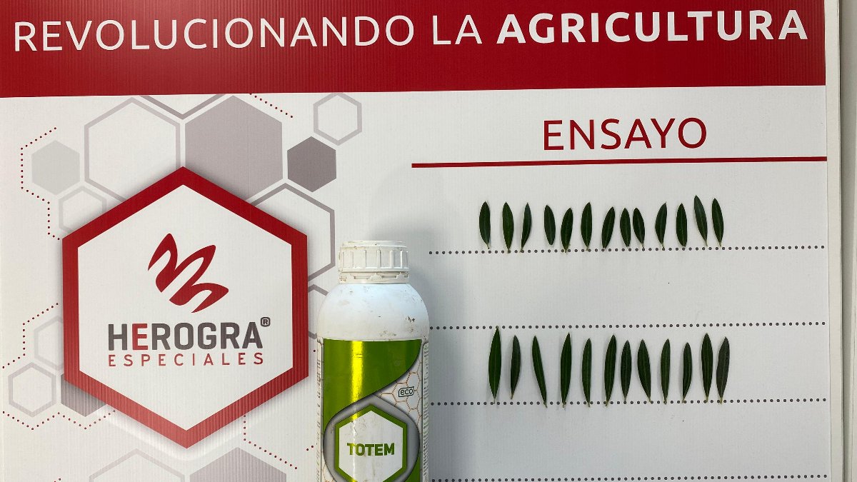 Aplicação de Totem em plantações novas e plantações estabelecidas: Um aliado para o transplante, enraizamento e redução do stress da transplantação