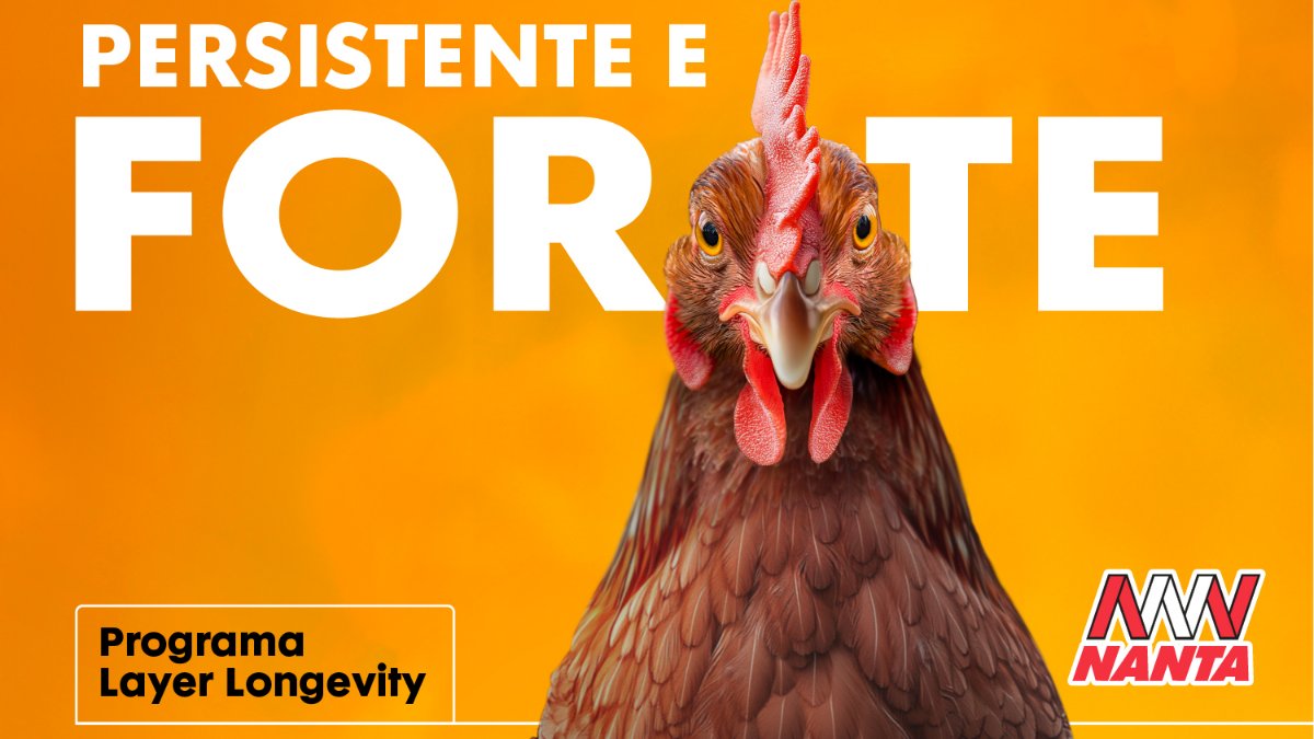 Erliva - o novo conceito nutricional da Nanta para a recria de frangas Longevidade, robustez e produtividade desde o primeiro dia 