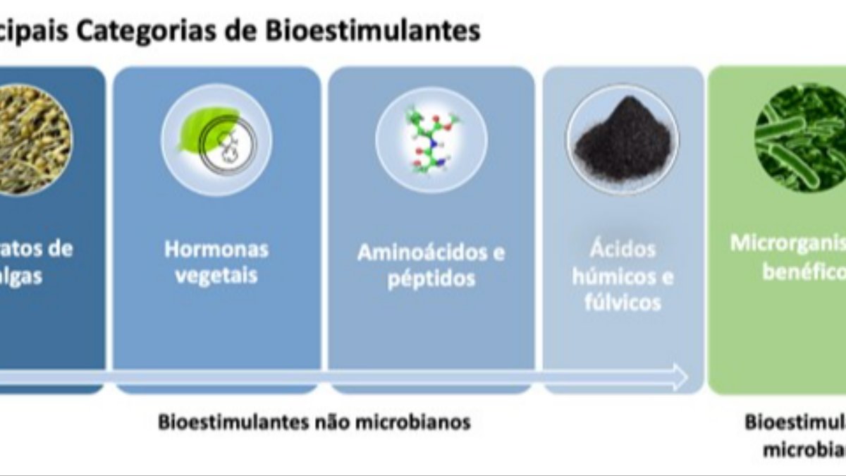 Contributo dos bioestimulantes para uma maior resiliência das culturas às doenças fúngicas
